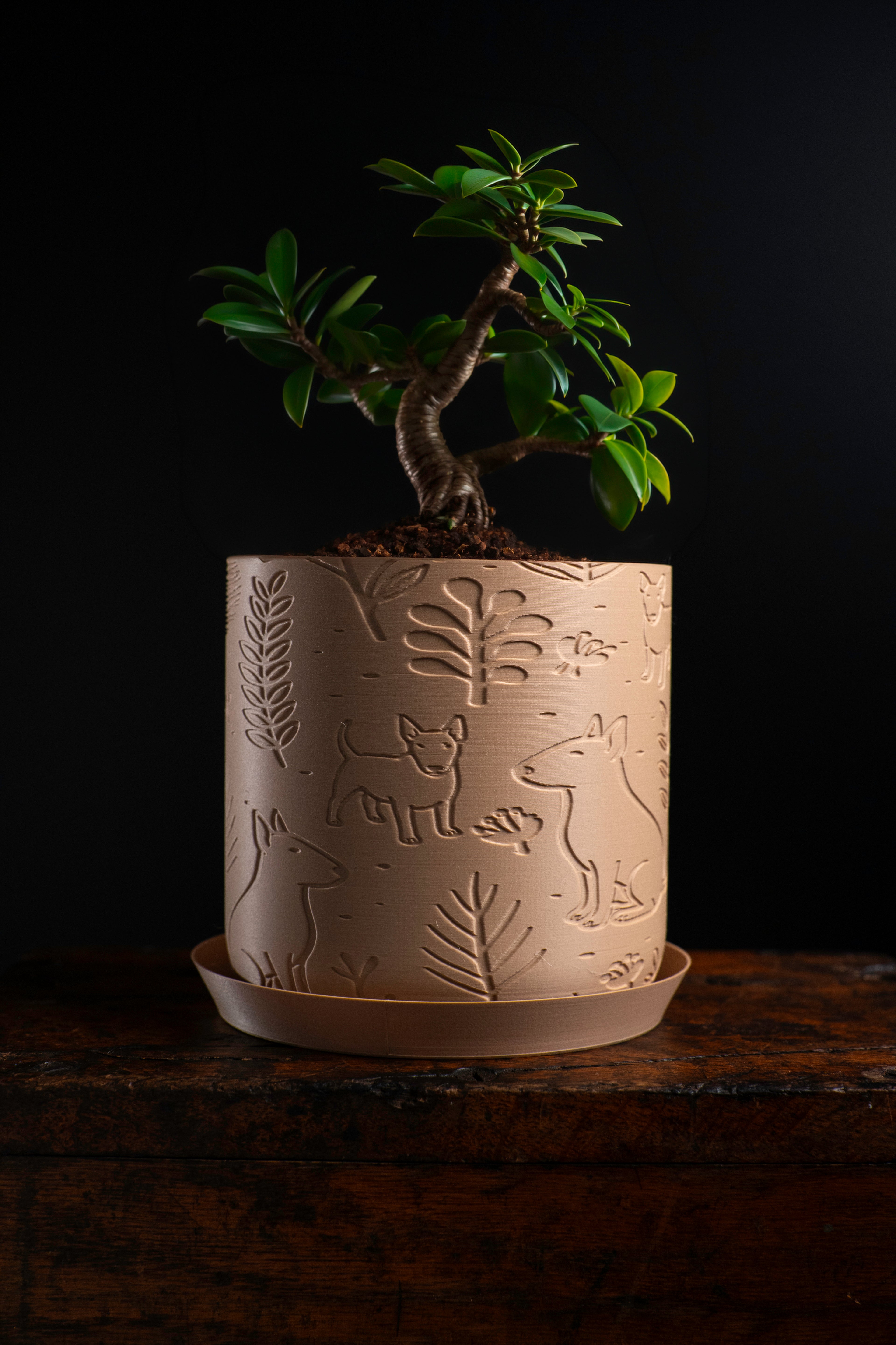 Terra Trace | Bull Terrier sculpture in natural sand finish — Modern Narrative 3D art