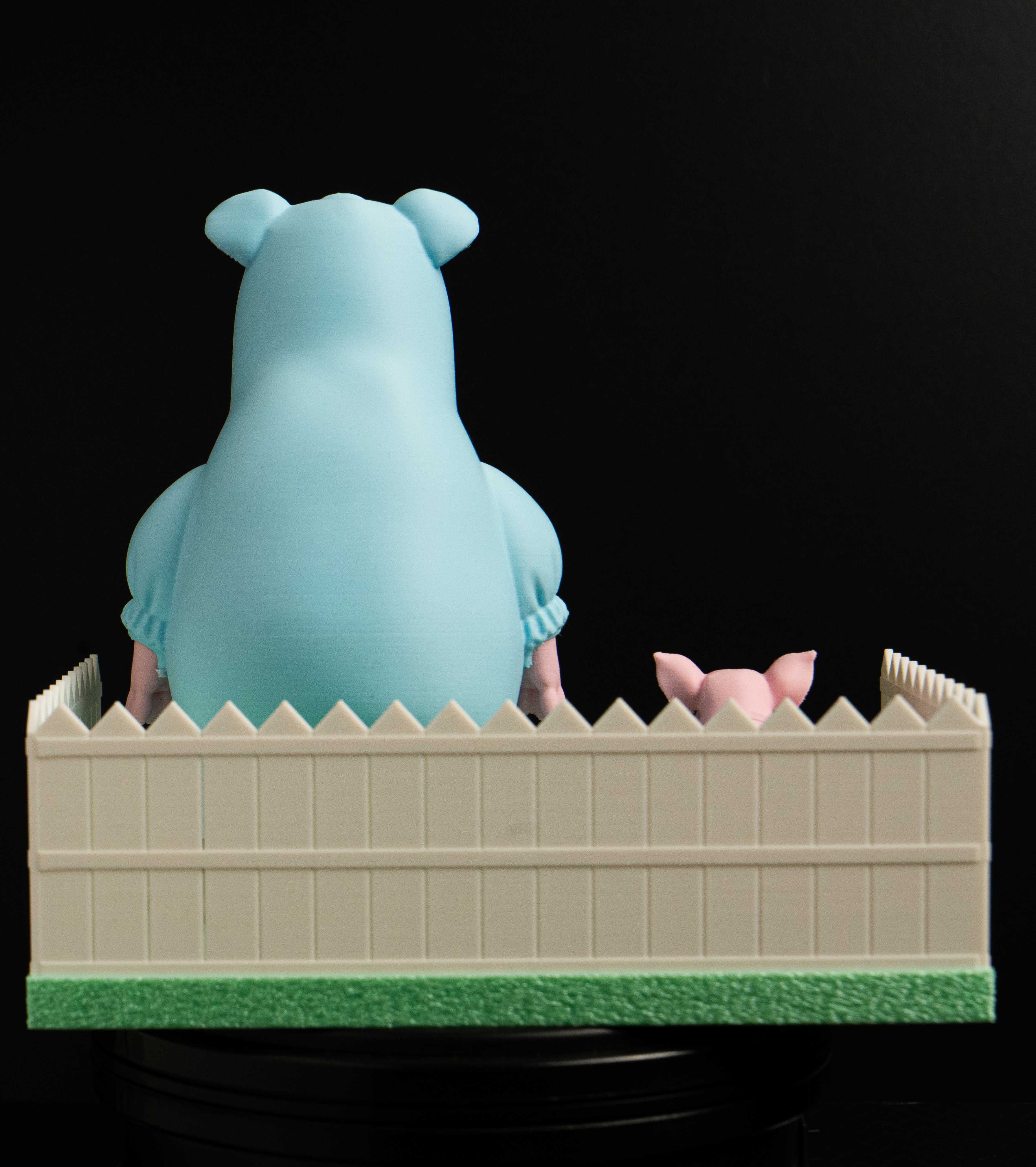 The Ham and the Bully view 3